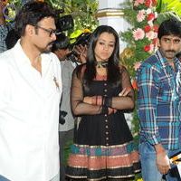 Venky and Trisha New Movie Launch Stilss | Picture 33953